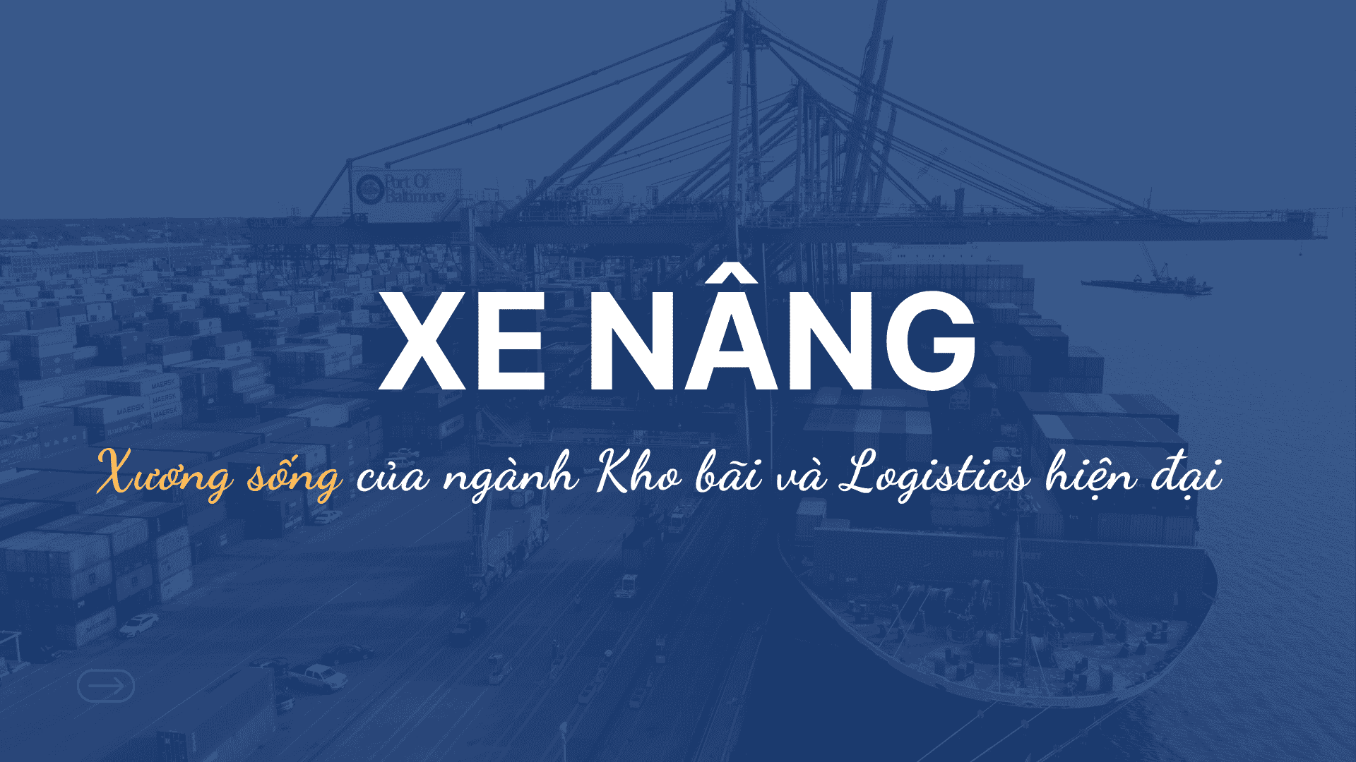 Xe Nâng: Xương sống của ngành Kho bãi và Logistics hiện đại